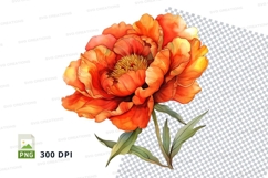 Vibrant orange flower clipart png Product Image 1