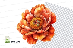 Vibrant orange flower clipart png Product Image 1