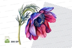 Vibrant anemone flower clipart png Product Image 1