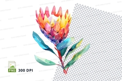 Vibrant protea flower clipart png Product Image 1