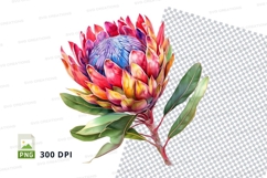 Vibrant protea flower clipart png Product Image 1