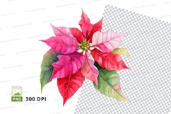 Bright poinsettia flower clipart png Product Image 1