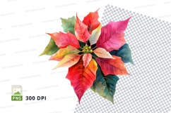 Colorful poinsettia clipart png Product Image 1