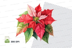 Vibrant poinsettia flower clipart png Product Image 1