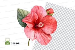 Vibrant pink hibiscus flower clipart png Product Image 1