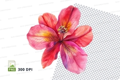 Vibrant pink flower clipart png Product Image 1