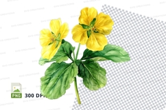 Yellow flowers clipart png Product Image 1