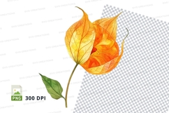 Autumn leaf clipart png Product Image 1