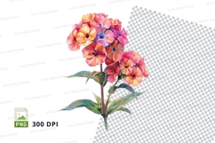 Vibrant flower clipart png Product Image 1
