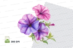 Beautiful petunia flowers Product Image 1
