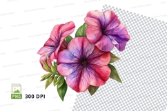 Beautiful bouquet of petunia flowers Product Image 1