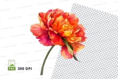 Vibrant peony clipart png Product Image 1