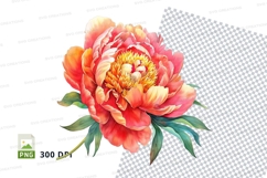 Vibrant peony flower clipart png Product Image 1