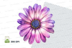 Purple daisy flower clipart png Product Image 1
