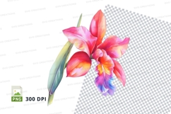 Vibrant tulip clipart png Product Image 1