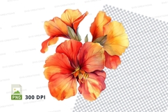 Vibrant orange and yellow flowers clipart png Product Image 1