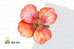 Vibrant orange flower clipart png Product Image 1