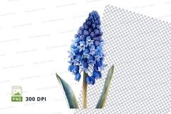 Blue hyacinth flower clipart png Product Image 1