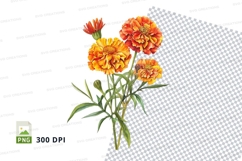 Vibrant marigold flowers clipart png Product Image 1