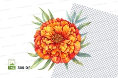 Vibrant orange and yellow marigold flower Product Image 1
