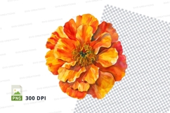 Vibrant orange and yellow flower clipart png Product Image 1
