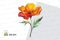 Vibrant orange flower clipart png Product Image 1