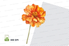 Vibrant orange flower clipart png Product Image 1