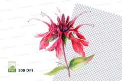 Vibrant pink flower clipart png Product Image 1