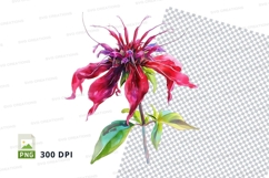 Vibrant pink flower clipart png Product Image 1