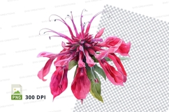 Vibrant pink flower clipart png Product Image 1