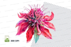Vibrant flower clipart png Product Image 1