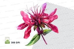 Vibrant pink flower clipart png Product Image 1