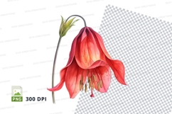 Vibrant red flower clipart png Product Image 1