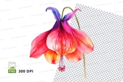 Vibrant flower clipart png Product Image 1
