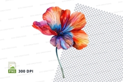 Vibrant poppy flower Product Image 1