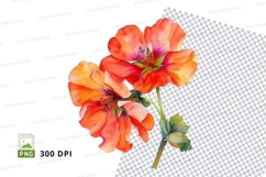 Vibrant orange flowers clipart png Product Image 1