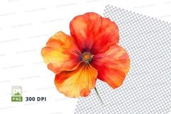 Vibrant orange poppy flower Product Image 1