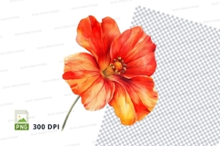 Vibrant orange flower clipart png Product Image 1