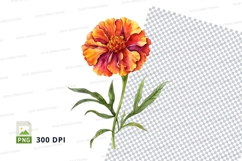 Vibrant orange flower clipart png Product Image 1