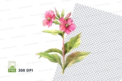 Pink hibiscus flowers clipart png Product Image 1