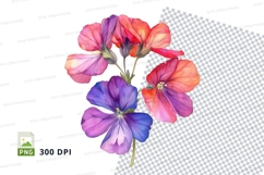 Colorful geranium flowers clipart png Product Image 1