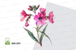 Pink lilies clipart png Product Image 1