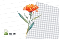 Vibrant orange flower clipart png Product Image 1