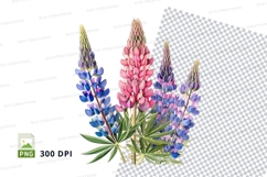 Colorful lupine flowers clipart png Product Image 1