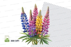 Colorful lupine flowers clipart png Product Image 1