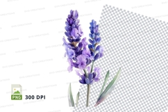 Lavender flowers clipart png Product Image 1