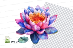 Vibrant water lily clipart png Product Image 1