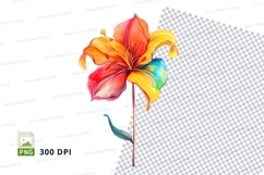 Colorful lily flower clipart png Product Image 1