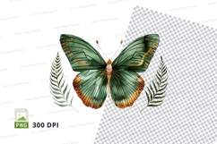 Green butterfly with leaves clipart png Product Image 1
