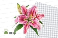 Pink lily flower clipart png Product Image 1